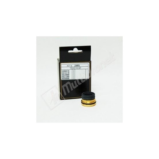 KIT 205 COLLARINES Y BRONCES D.18 INTERPUMP KIT 205 COLLARINES Y BRONCES D.18 INTERPUMP
